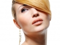 Beauty blond style hairstyle