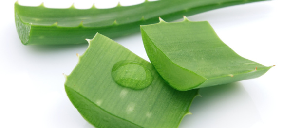 Aloe