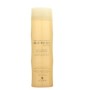 alterna bamboo